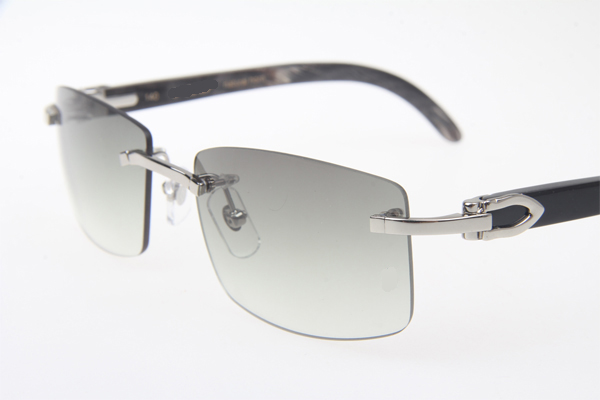CT 3524012 Black Buffalo Sunglasses In Silver Grey