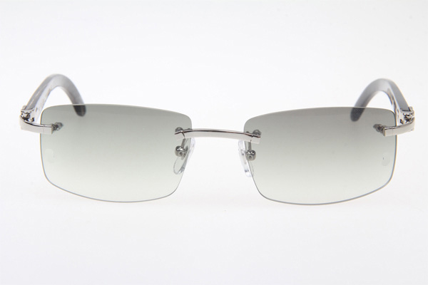 CT 3524012 Black Buffalo Sunglasses In Silver Grey