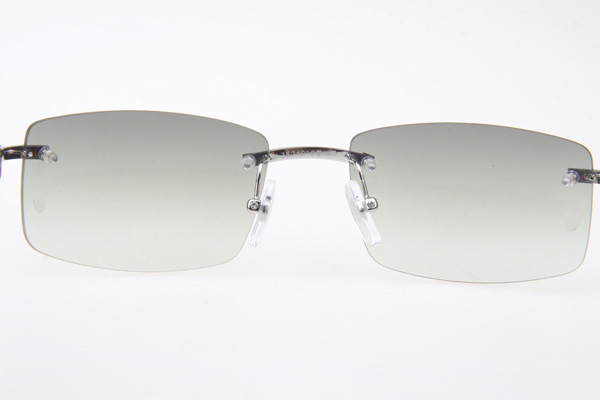 CT 3524012 Black Buffalo Sunglasses In Silver Grey