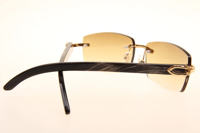 CT 3524012 Black Grey Buffalo Sunglasses In Gold Brown