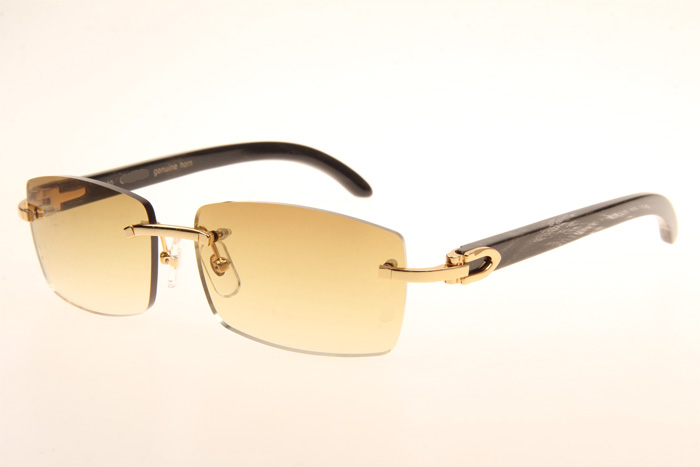 CT 3524012 Black Grey Buffalo Sunglasses In Gold Brown