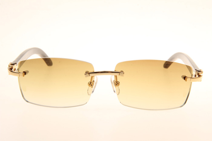 CT 3524012 Black Grey Buffalo Sunglasses In Gold Brown