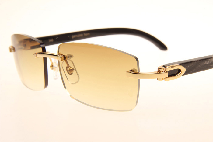 CT 3524012 Black Grey Buffalo Sunglasses In Gold Brown