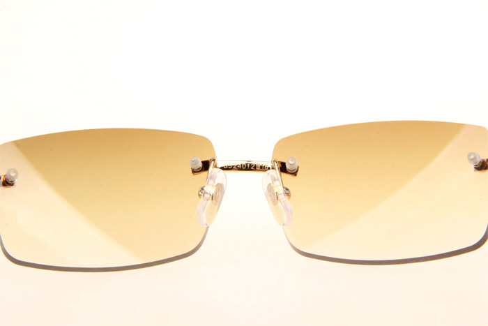 CT 3524012 Black Grey Buffalo Sunglasses In Gold Brown