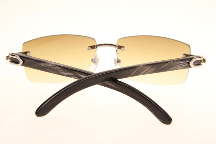 CT 3524012 Black Grey Buffalo Sunglasses In Silver Brown