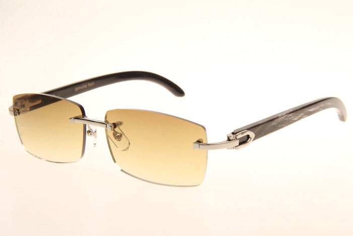 CT 3524012 Black Grey Buffalo Sunglasses In Silver Brown