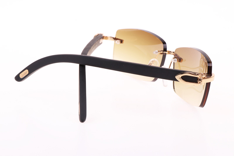 CT 3524012 Black Wood Sunglasses In Gold Brown