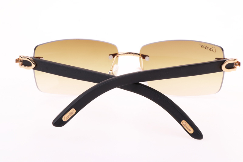 CT 3524012 Black Wood Sunglasses In Gold Brown