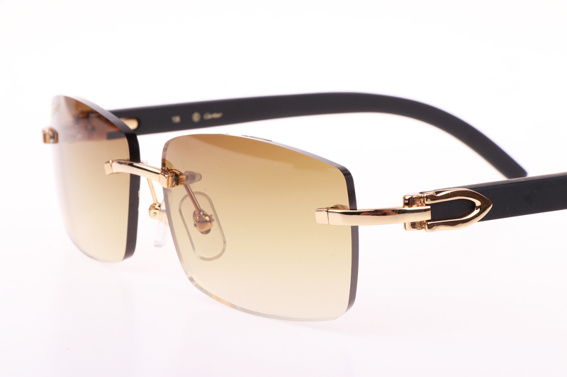 CT 3524012 Black Wood Sunglasses In Gold Brown