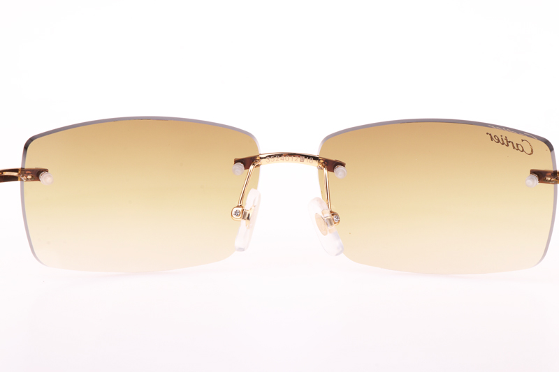 CT 3524012 Black Wood Sunglasses In Gold Brown