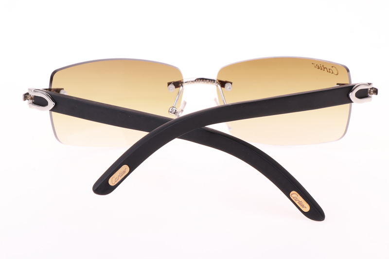 CT 3524012 Black Wood Sunglasses In Silver Brown