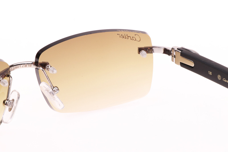 CT 3524012 Black Wood Sunglasses In Silver Brown