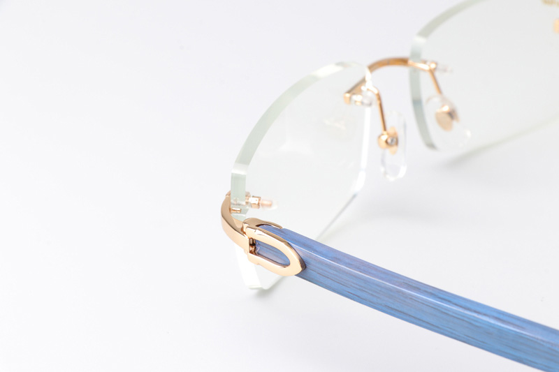 CT 3524012 Blue Arm Eyeglasses Gold