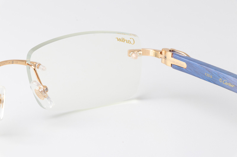 CT 3524012 Blue Arm Eyeglasses Gold