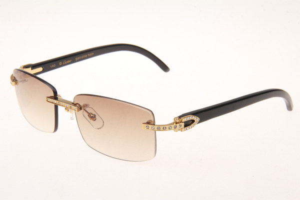 CT 3524012 Diamond Black Buffalo Sunglasses In Gold Brown
