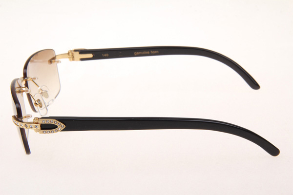 CT 3524012 Diamond Black Buffalo Sunglasses In Gold Brown