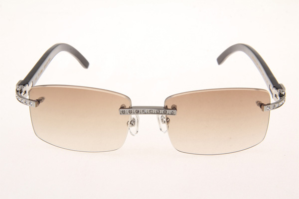 CT 3524012 Diamond Black Buffalo Sunglasses In Silver Brown