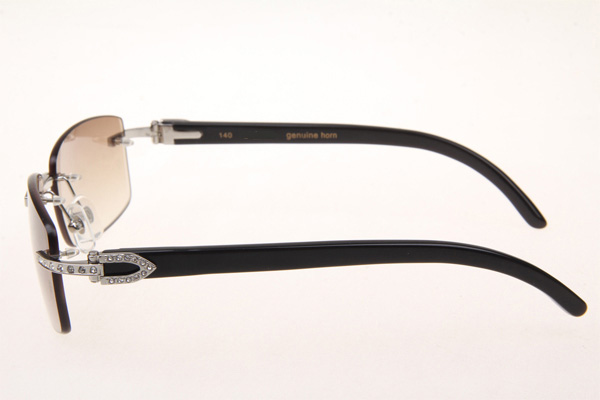 CT 3524012 Diamond Black Buffalo Sunglasses In Silver Brown