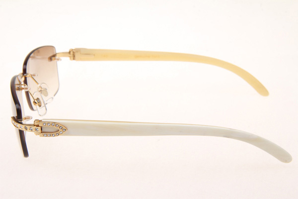 CT 3524012 Diamond White Buffalo Sunglasses In Gold Brown