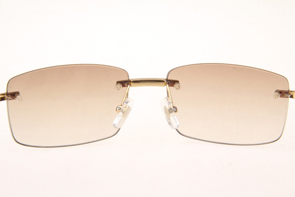 CT 3524012 Diamond White Buffalo Sunglasses In Gold Brown