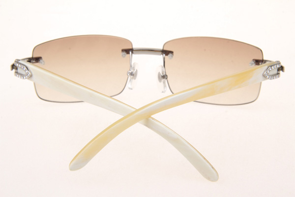 CT 3524012 Diamond White Buffalo Sunglasses In Silver Brown