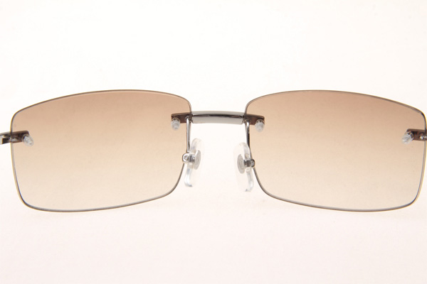 CT 3524012 Diamond White Buffalo Sunglasses In Silver Brown