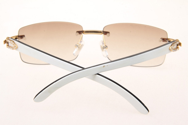 CT 3524012 Diamond White Mix Black Buffalo Sunglasses In Gold Brown