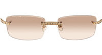 CT 3524012 Diamond White Mix Black Buffalo Sunglasses In Gold Brown