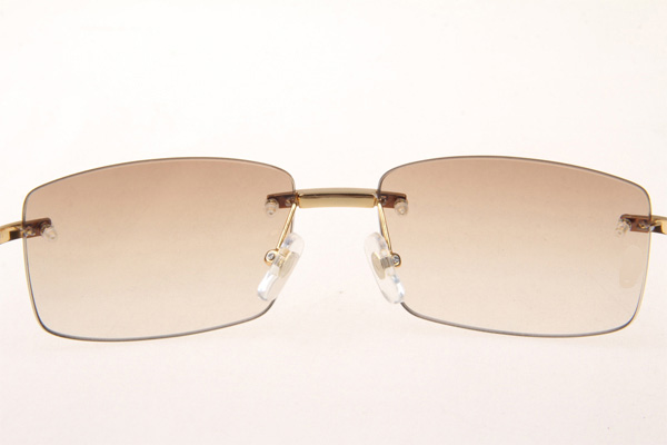 CT 3524012 Diamond White Mix Black Buffalo Sunglasses In Gold Brown