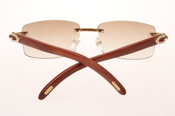 CT 3524012 Diamond Wood Sunglasses In Gold Brown