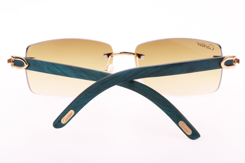 CT 3524012 Green Wood Sunglasses In Gold Brown