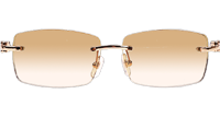 CT 3524012 Green Wood Sunglasses In Gold Brown