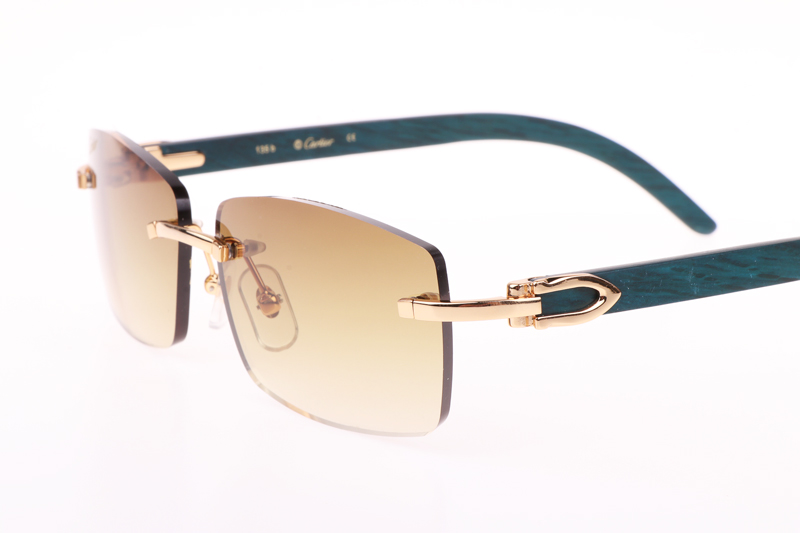 CT 3524012 Green Wood Sunglasses In Gold Brown
