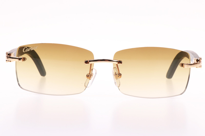 CT 3524012 Green Wood Sunglasses In Gold Brown