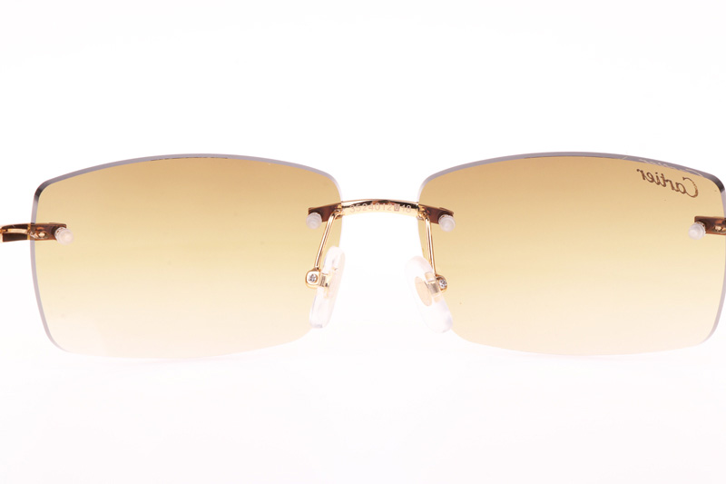 CT 3524012 Green Wood Sunglasses In Gold Brown