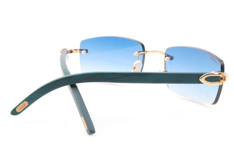 CT 3524012 Green Wood Sunglasses In Gold Gradient Blue