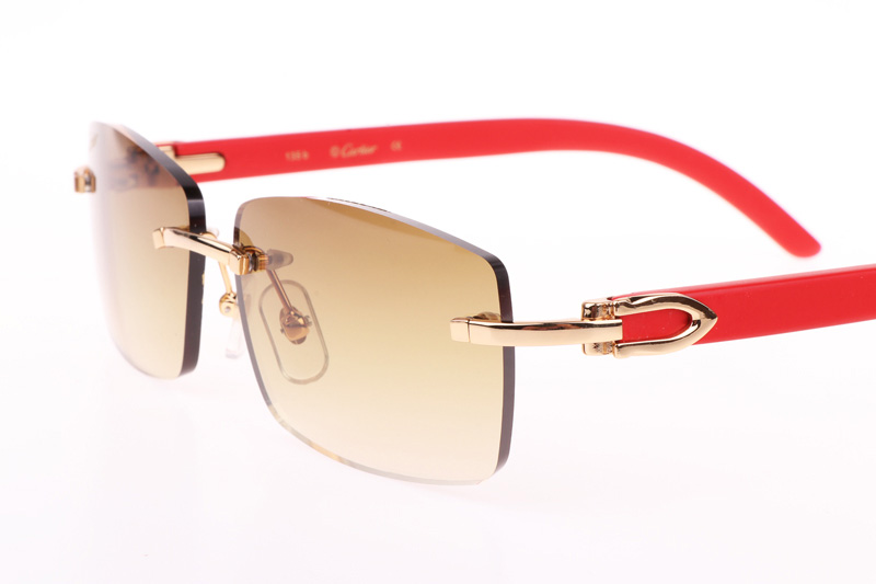 CT 3524012 Red Wood Sunglasses In Gold Brown