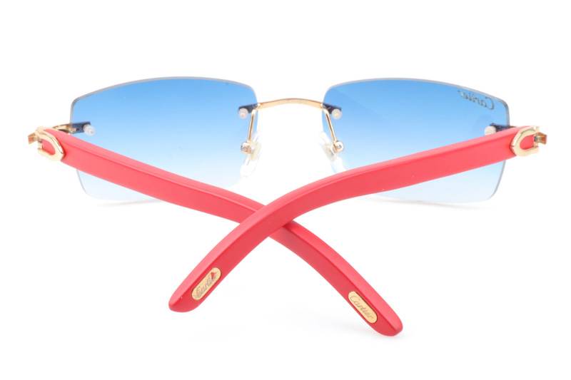 CT 3524012 Red Wood Sunglasses In Gold Gradient Blue