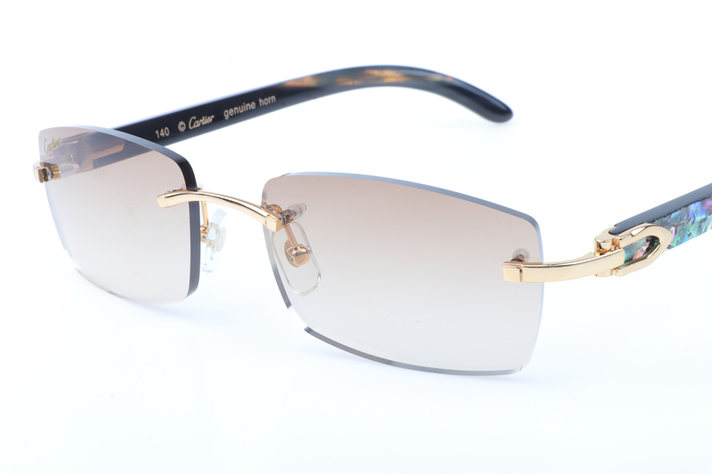 CT 3524012 Shell Mix Black Buffalo Sunglasses In Gold Brown