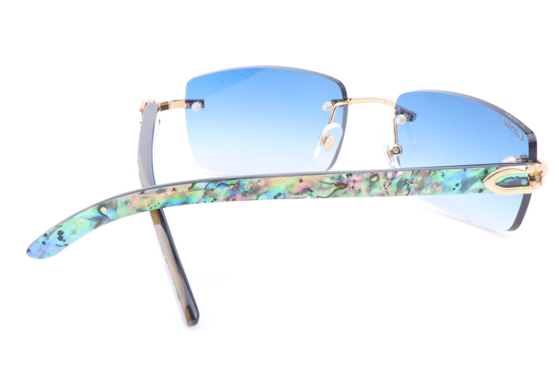 CT 3524012 Shell Mix Black Buffalo Sunglasses In Gold Gradient Blue