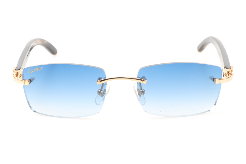 CT 3524012 Shell Mix Black Buffalo Sunglasses In Gold Gradient Blue