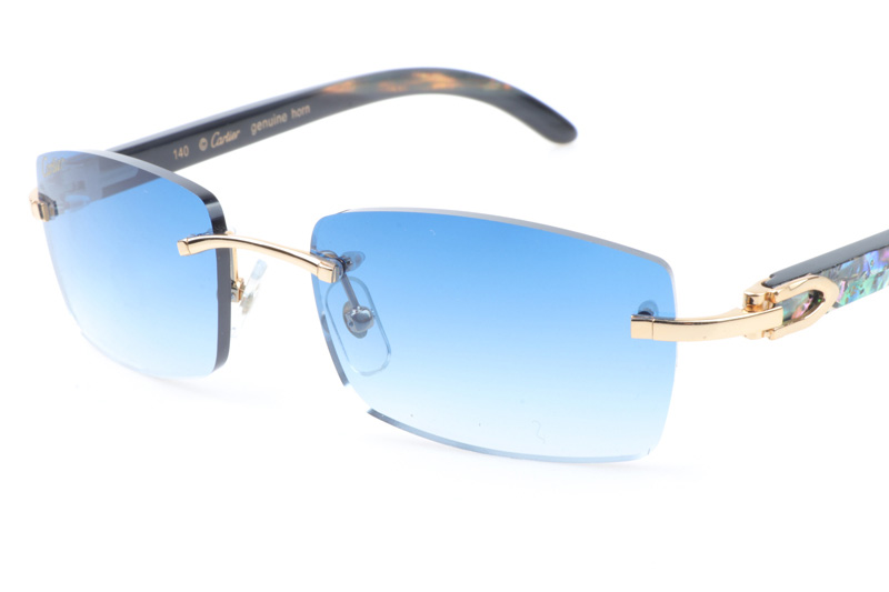 CT 3524012 Shell Mix Black Buffalo Sunglasses In Gold Gradient Blue