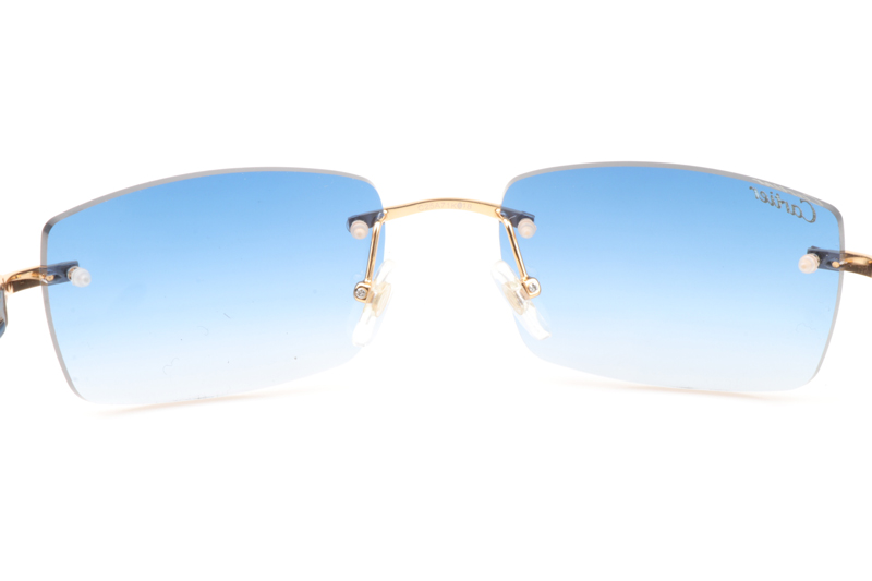 CT 3524012 Shell Mix Black Buffalo Sunglasses In Gold Gradient Blue