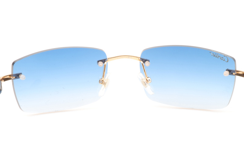 CT 3524012 Shell Mix Black Buffalo Sunglasses In Gold Gradient Blue