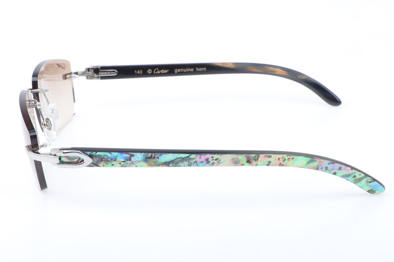 CT 3524012 Shell Mix Black Buffalo Sunglasses In Silver Brown