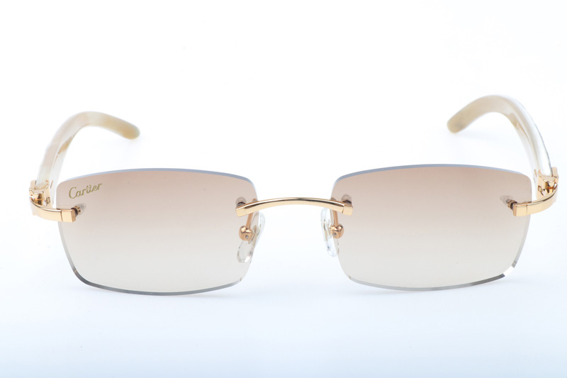 CT 3524012 Shell Mix White Buffalo Sunglasses In Gold Brown