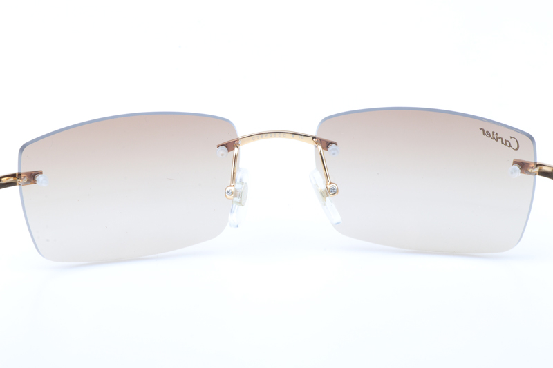 CT 3524012 Shell Mix White Buffalo Sunglasses In Gold Brown