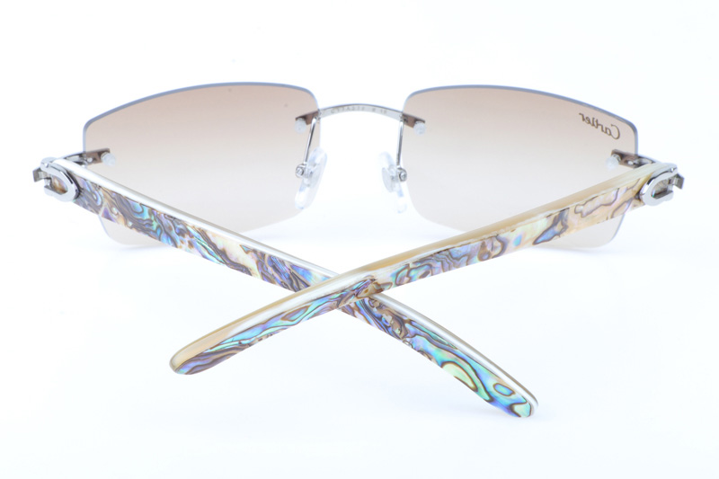 CT 3524012 Shell Mix White Buffalo Sunglasses In Silver Brown
