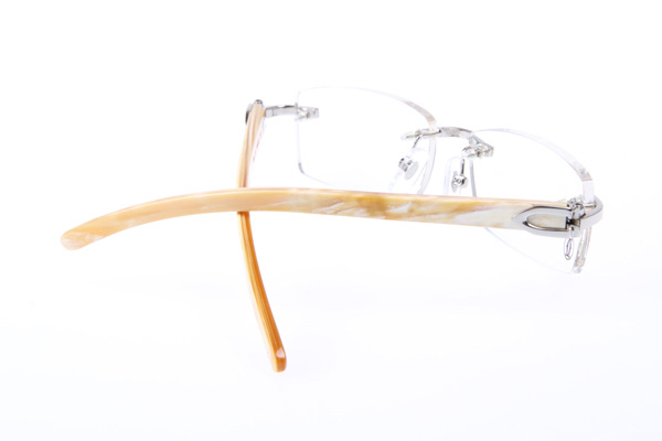 CT 3524012 White Buffalo Eyeglasses In Silver