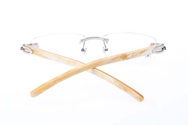 CT 3524012 White Buffalo Eyeglasses In Silver